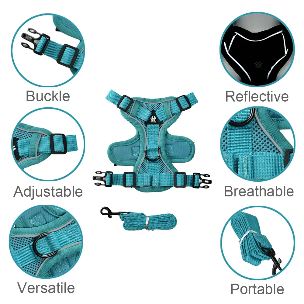 A turquoise harness for dogs or cats featuring a buckle, adjustable straps, and reflective material.