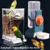 Distributeur d'eau automatique pour oiseaux montrant un oiseau se nourrissant à partir d'un dispositif en plastique transpare