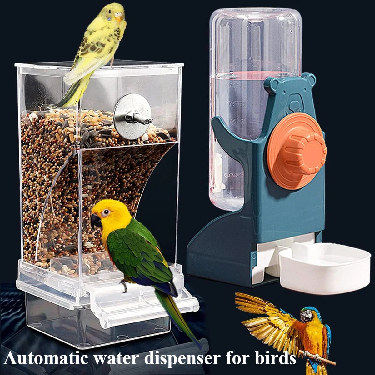 Distributeur d'eau automatique pour oiseaux montrant un oiseau se nourrissant à partir d'un dispositif en plastique transpare