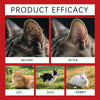 Image showing before and after results of a soothing pet ear cleaning solution on a cat, dog, and rabbit.