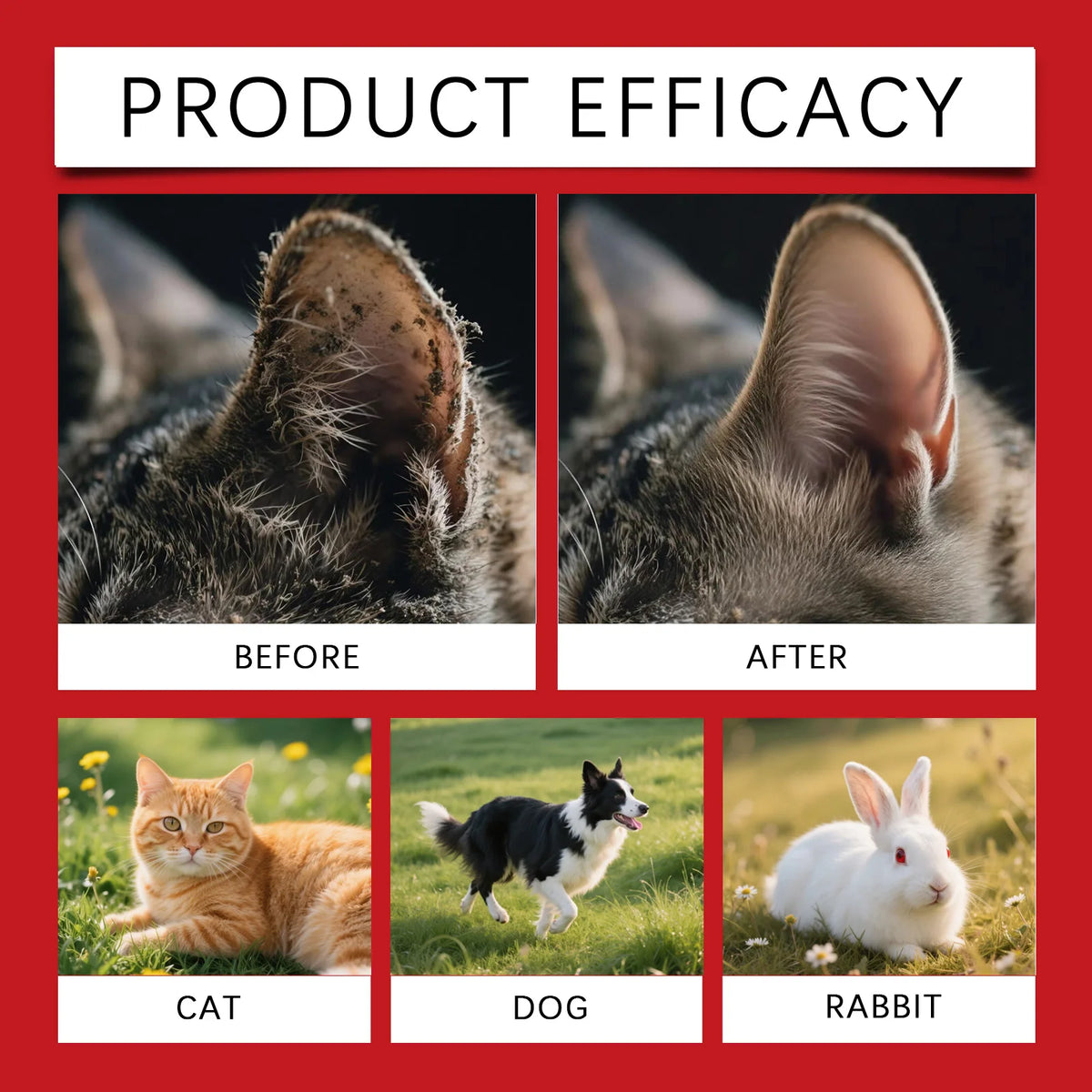 Image showing before and after results of a soothing pet ear cleaning solution on a cat, dog, and rabbit.