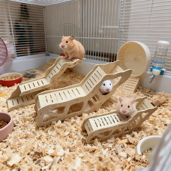A wooden hamster hideout cave with a peekaboo design is shown with several hamsters inside on bedding.