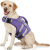 Ein helles Hundespitzensack mit lila und grauem reflektierendem Rettungsweste.
