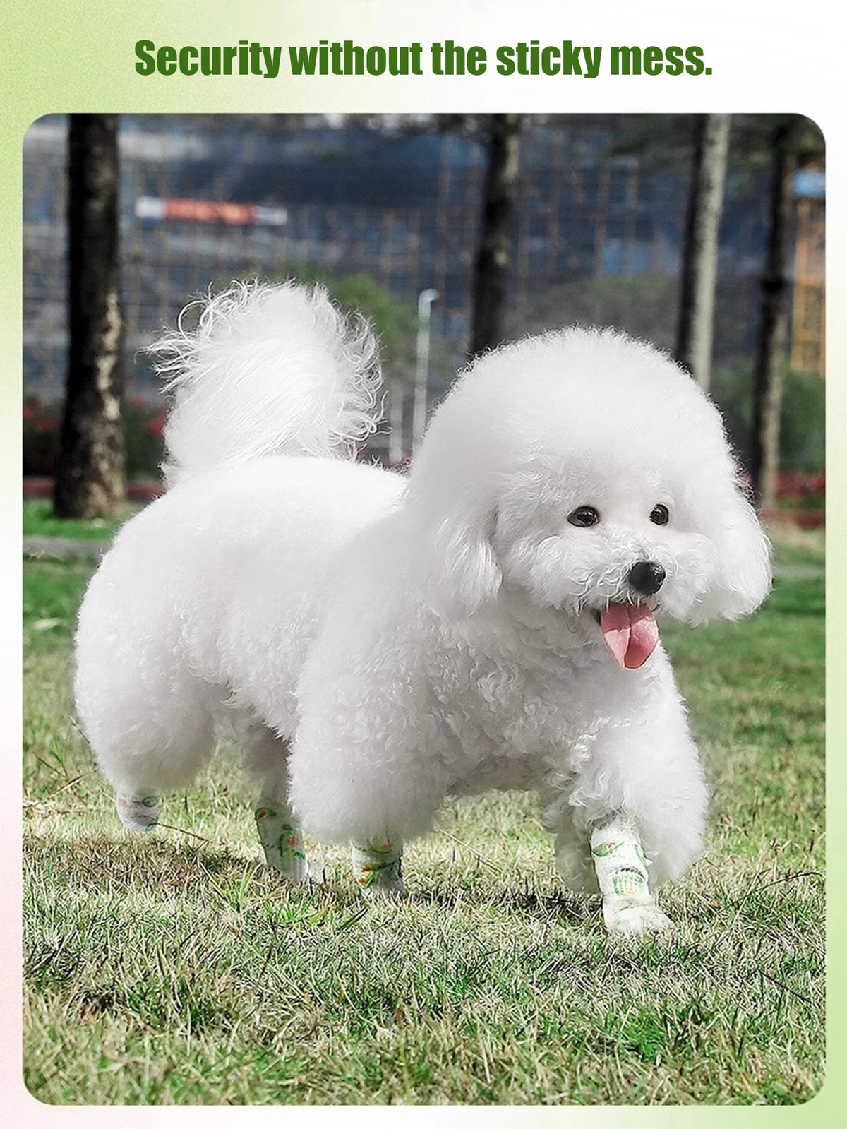 A fluffy white dog is standing on green grass, wearing a self-adhesive paw protector bandage.
