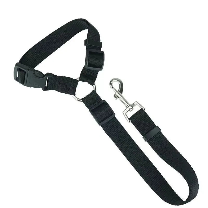 Black adjustable two-in-one dog harness and leash with a metal clip and strap.