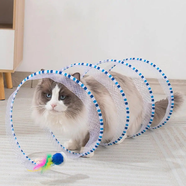 Ein flauschiger grau-weißer Kater spielt in einem zusammenklappbaren Maschendurchlass für das Indoor-Jagen