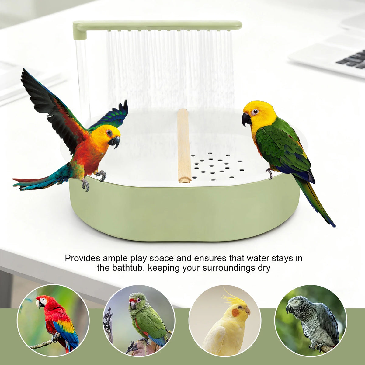 Fontaine à oiseaux verte automatique avec base perforée et eau qui coule, entourée d'oiseaux colorés.