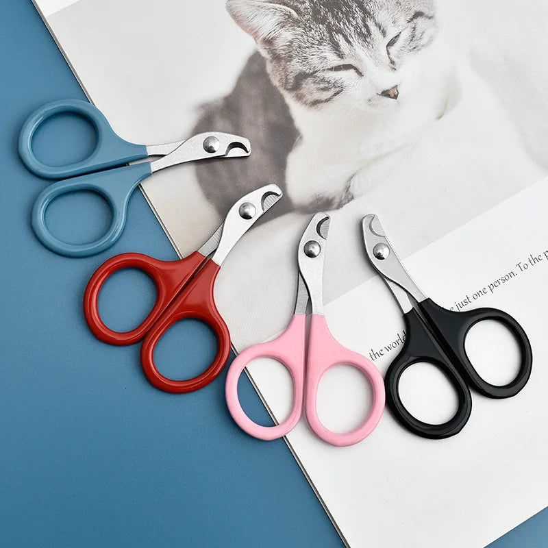 A collection of professional pet nail clippers and trimmers in various colors resting on a white background.