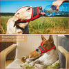 A dog wearing an adjustable reflective soft muzzle is drinking water outdoors.