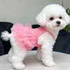 Ein weißer Pudel in einem rosa Rüschenkleid auf einer hellen Oberfläche.