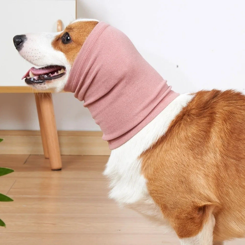 A dog wearing a pink soothing ear muff, showing the side profile of its head and neck.