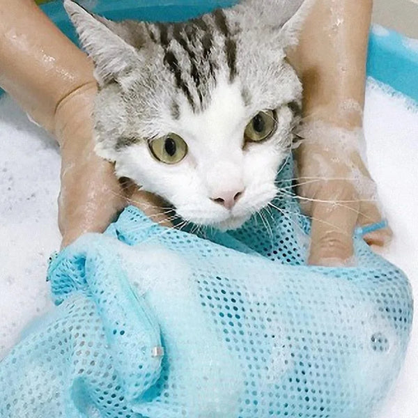 A tabby cat is being held in a light blue mesh grooming bag by a person's hands.