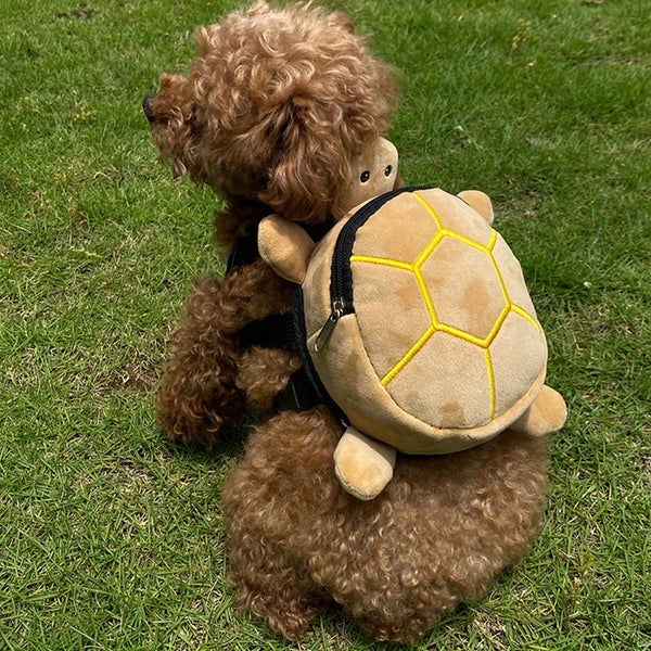 A brown, fluffy pet is wearing a tan and yellow turtle-shaped backpack while sitting on green grass.