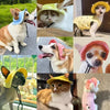 Una colección de mascotas, incluyendo perros y gatos, usando sombreros soleados de colores variados.