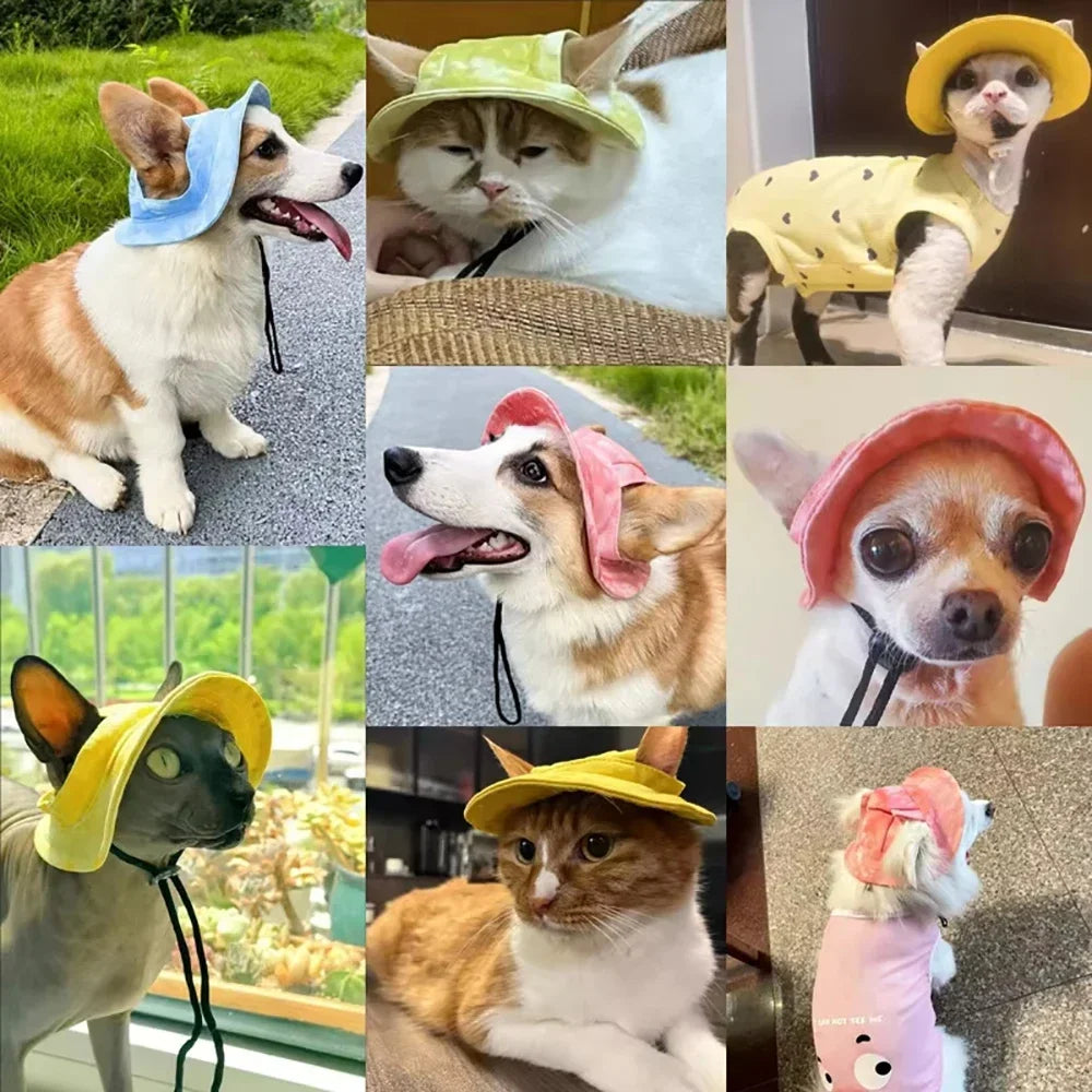 Una colección de mascotas, incluyendo perros y gatos, usando sombreros soleados de colores variados.