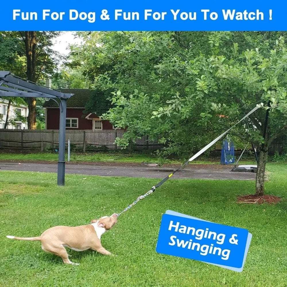 A dog is playing with a bungee tug toy, an elastic rope with adjustable handles, in a grassy yard.