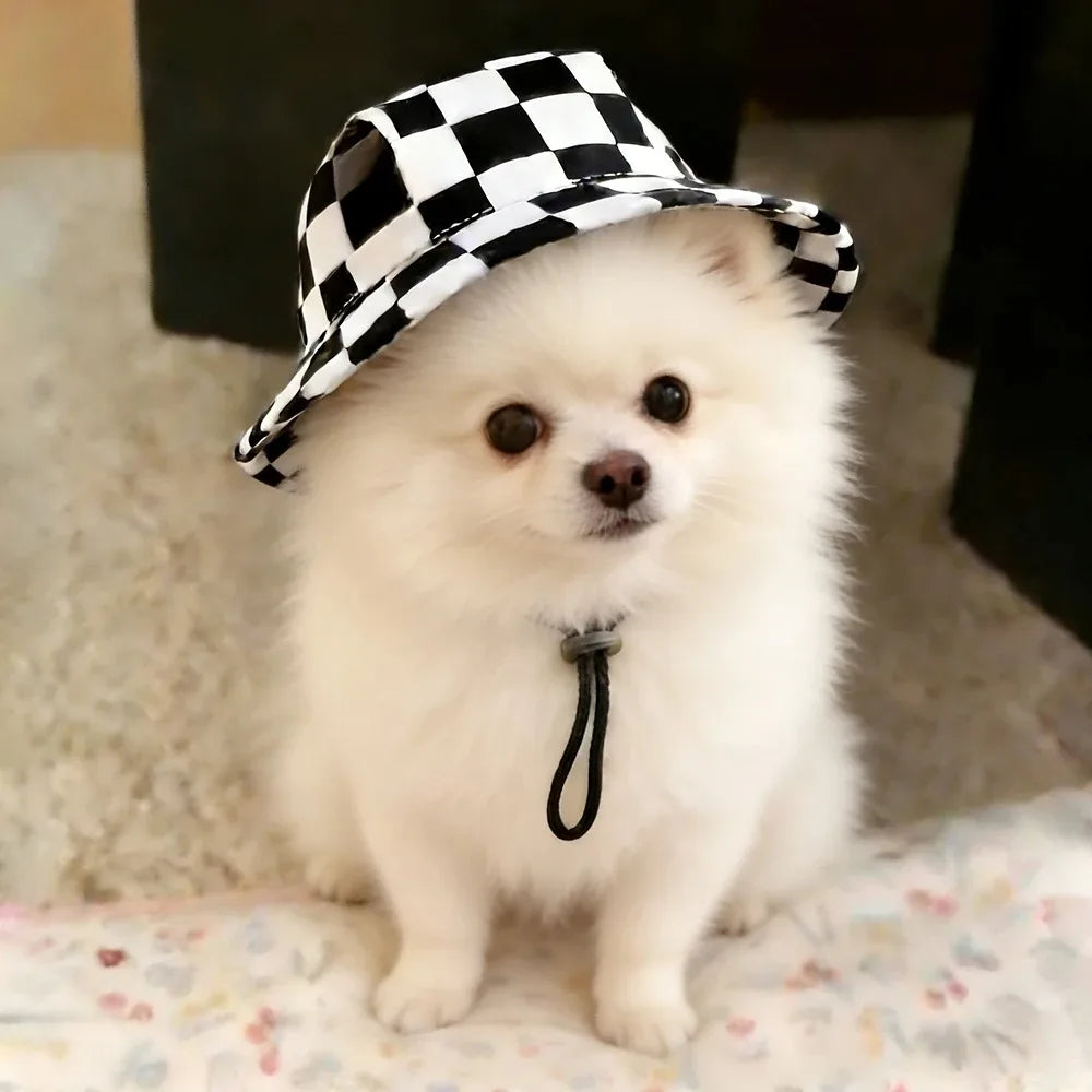 Ein flauschiger weißer Hund mit einer schwarz-weißen karierten Bucket-Cap sitzt auf einer hellen Oberfläche.