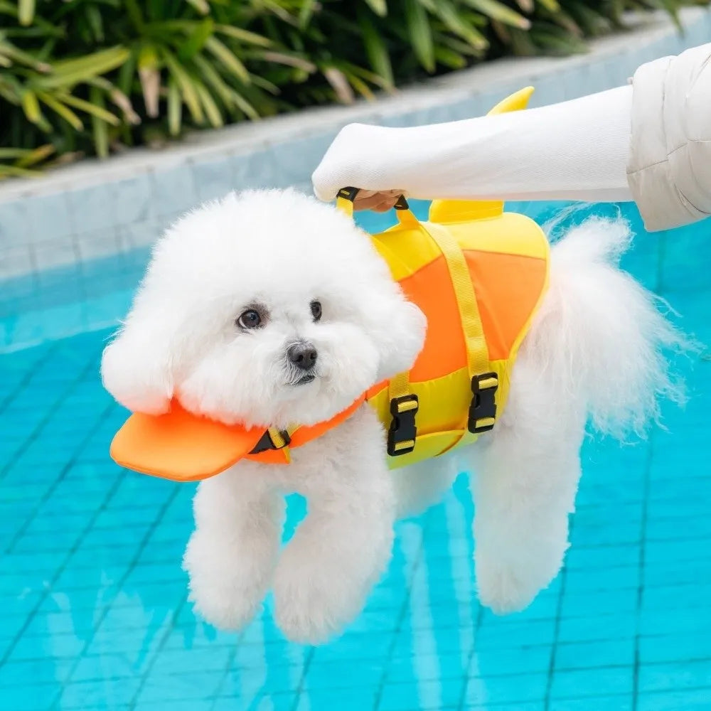 A fluffy white dog wearing an orange high visibility life vest is being held over blue water.