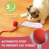 Rote, automatische Katzenspielball mit LED-Schwanz neben einer Katze auf einem Holzfußboden.