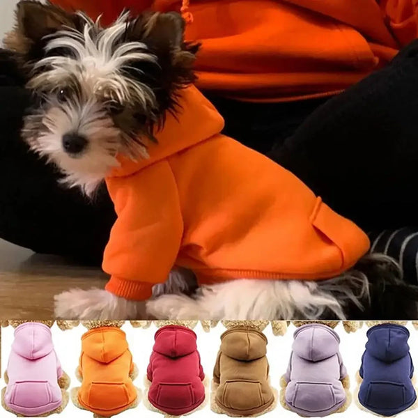 A collection of various colored pet hooded sweatshirts for dogs displayed in a row.