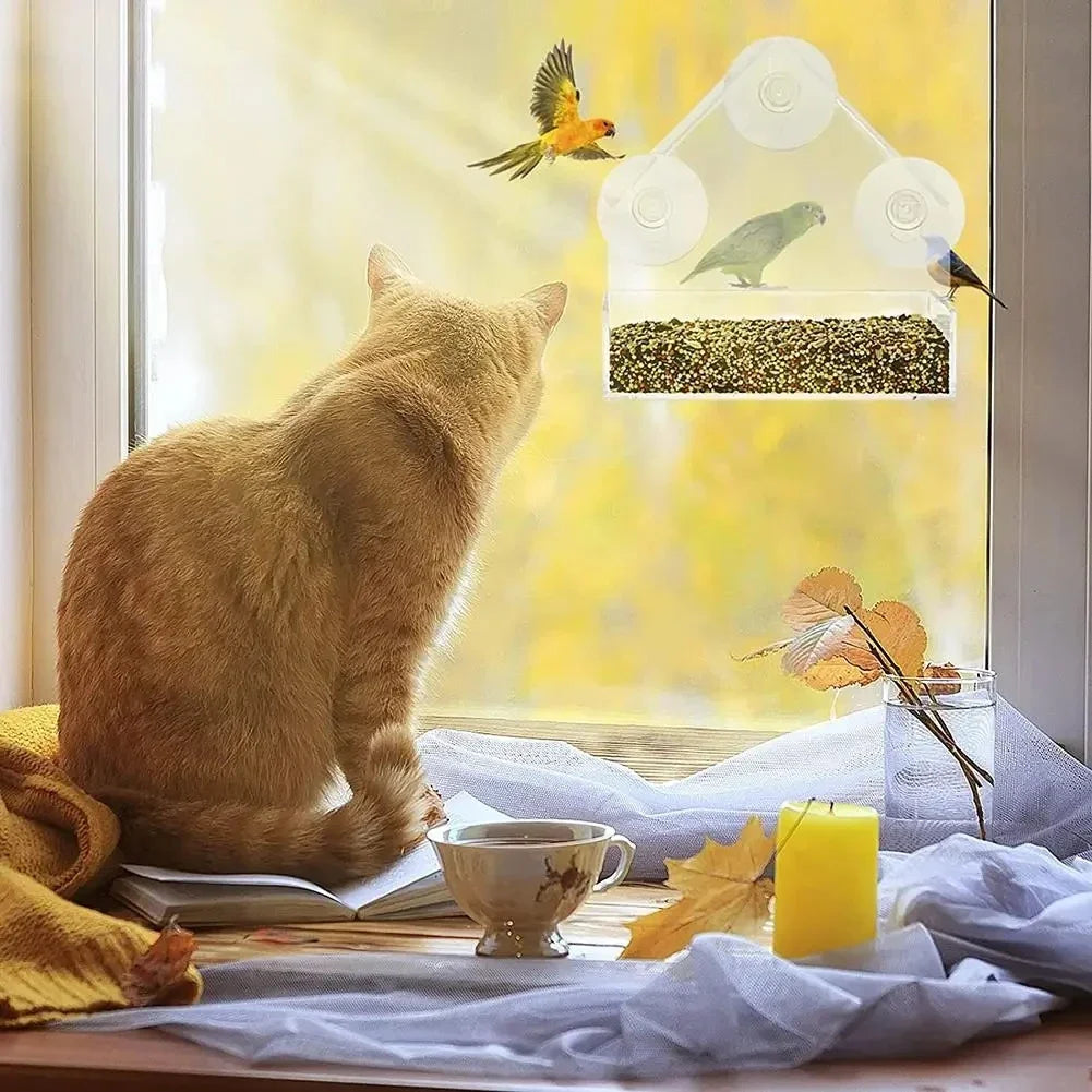 Un chat tigré est assis près d'une mangeoire à oiseaux transparente avec ventouses, contenant de petits oiseaux.