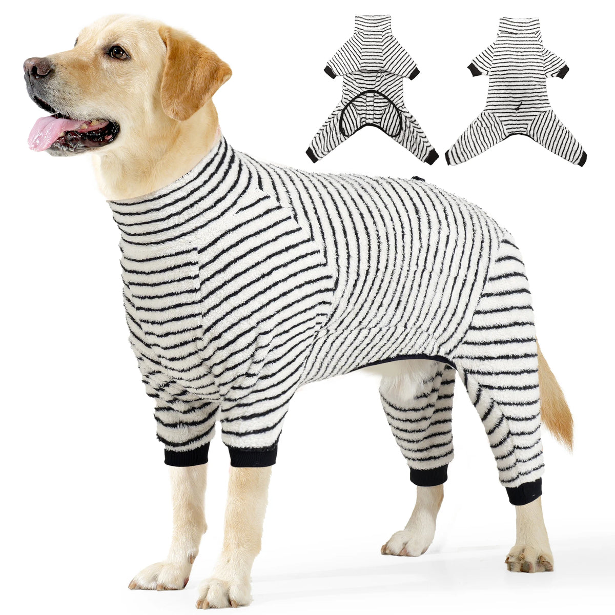 Un golden retriever vistiendo un traje de recuperación para invierno de fieltro suave a rayas blancas y negras, con diagramas