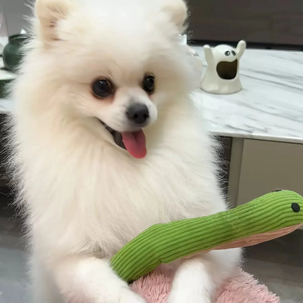 A fluffy white dog sits next to a green crinkle snake toy.