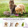 A fluffy tabby cat and a golden puppy are shown next to a silicone pet feeder bowl suitable for small-medium pets.