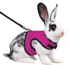 A white rabbit wearing a bright pink pet harness and black leash.