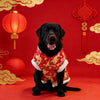 A black dog wearing a red and gold traditional Chinese pattern hoodie, set against a vibrant red background with lanterns.