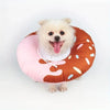 Ein flauschiger weißer Hund befindet sich in einem runden, orange-rosa Elizabethan-Kragen zum Schutz von Wunden.