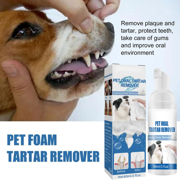 A bottle of Pet Foam Tartar Remover for dogs is shown next to a dog's mouth being cleaned with foam.