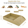 A light tan reptile habitat featuring a bathing area and climbing area with an anti-slip ramp for various reptiles.