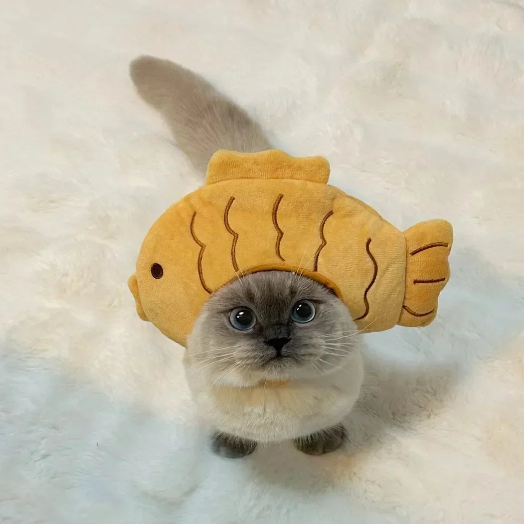 Ein flauschiger grauer Kater trägt eine gelbe, fischförmige Tiermütze