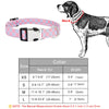 A set of adjustable checker pattern dog collars in various sizes XS to L shown next to a dog.