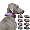 A gray dog wearing a purple tactical collar with multiple color options displayed below.