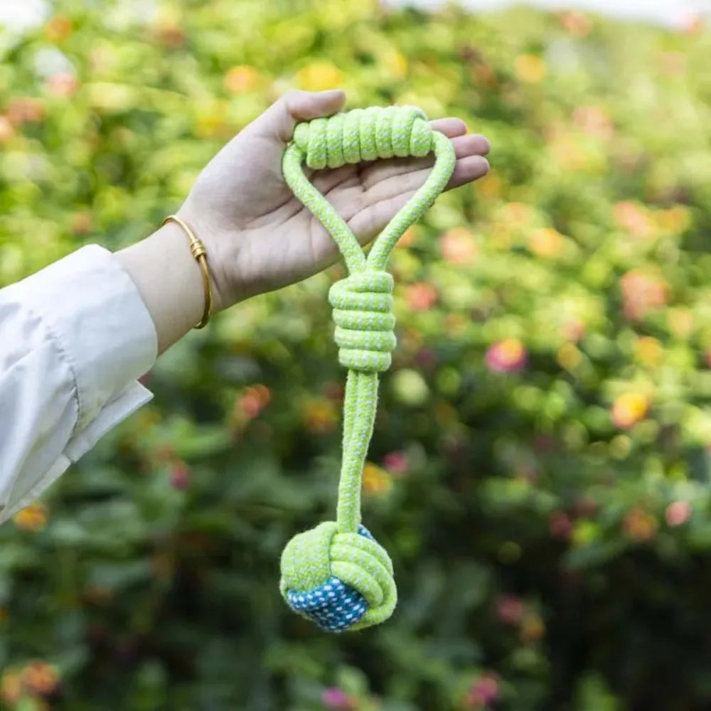 A hand holds a bright lime green rope ball dog toy with a blue tip against a blurred green outdoor background.