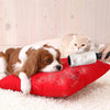 A fluffy orange and white cat is resting near a red lint roller with a black handle on a white surface.