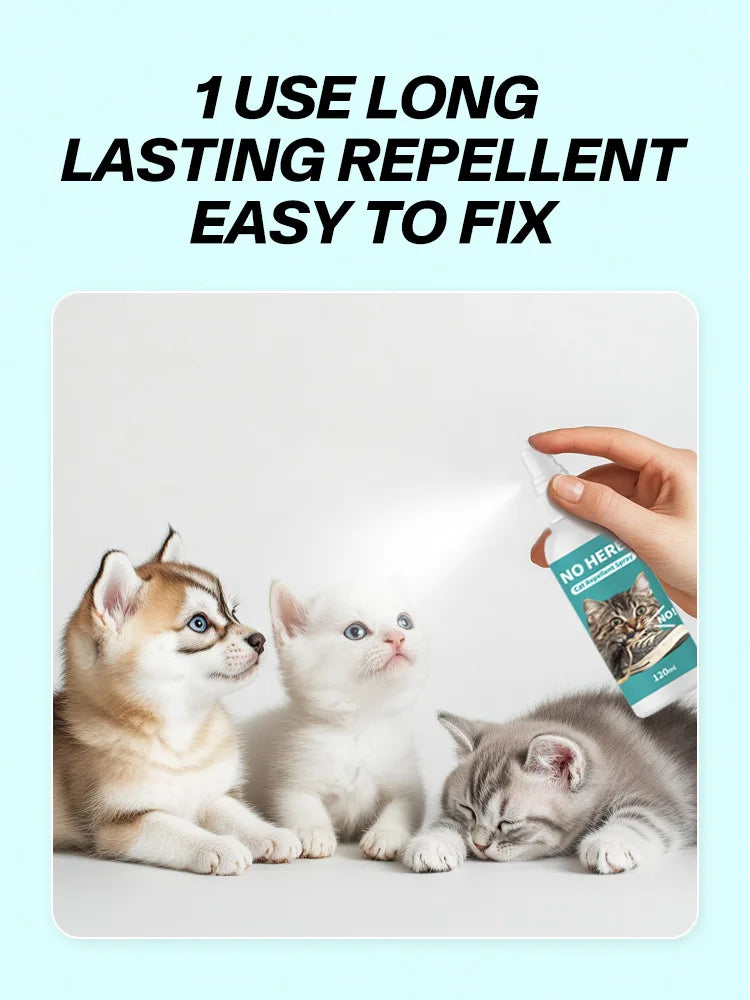 A hand sprays a long-lasting repellent onto three kittens resting on a white surface.