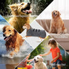 Collage montrant un chien profitant d'une pluie, nageant, et un enfant interagissant avec un chien en peignoir.