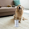 A golden retriever sits next to a white automatic pet paw cleaner cup on a light-colored rug.