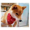 Oranger Shiba Inu Hund mit roter gemusterter Bandana, der in die Kamera blickt.