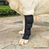 Férulas de neopreno negro para la articulación de la pata de un perro