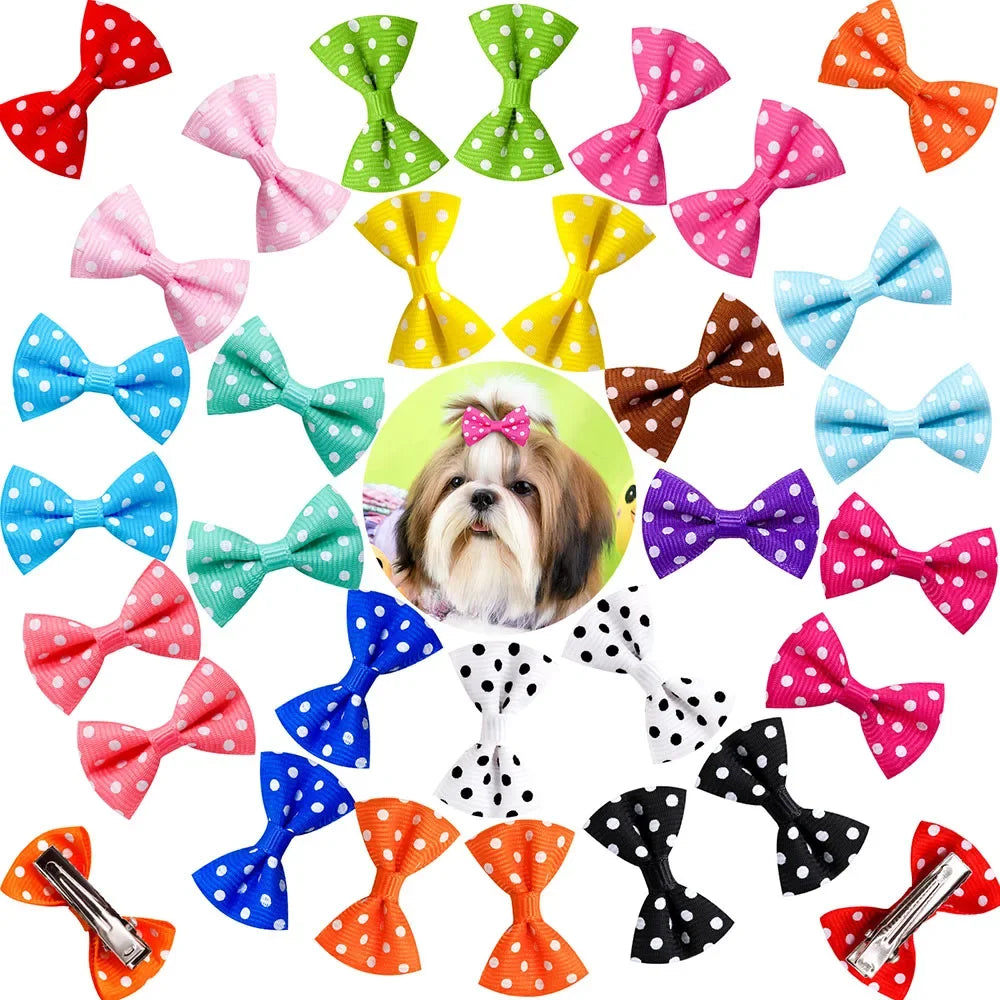 Colección de pinzas y lazos de pelo coloridos para el aseo de perros y gatos.