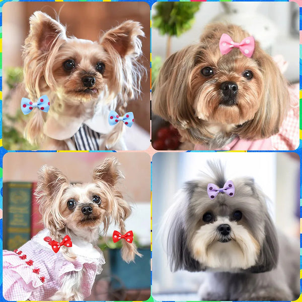 A collage of various dog hair accessories, including pink and blue polka dot bows, on a small dog.
