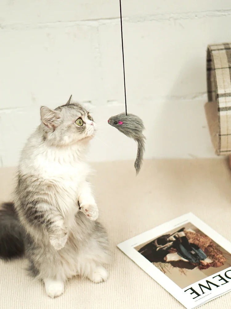 A fluffy gray and white cat looks up at a long, thin stick with a small pink toy dangling from the end.