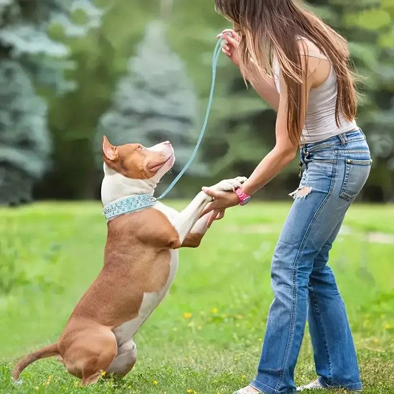 A woman is walking a dog on a grassy field using an adjustable leather collar and leash set.