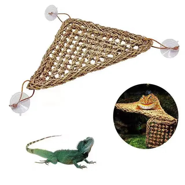 Transat berceau en fibre naturelle tissée pour reptiles, avec filet en maille et accents en verre transparent.