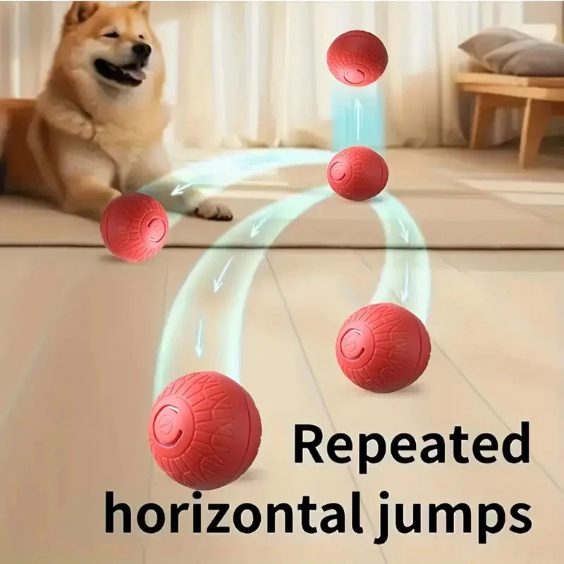 Ein Hund springt über eine Reihe roter Bälle, die in einem Bogen auf einem Holzfußboden angeordnet sind.