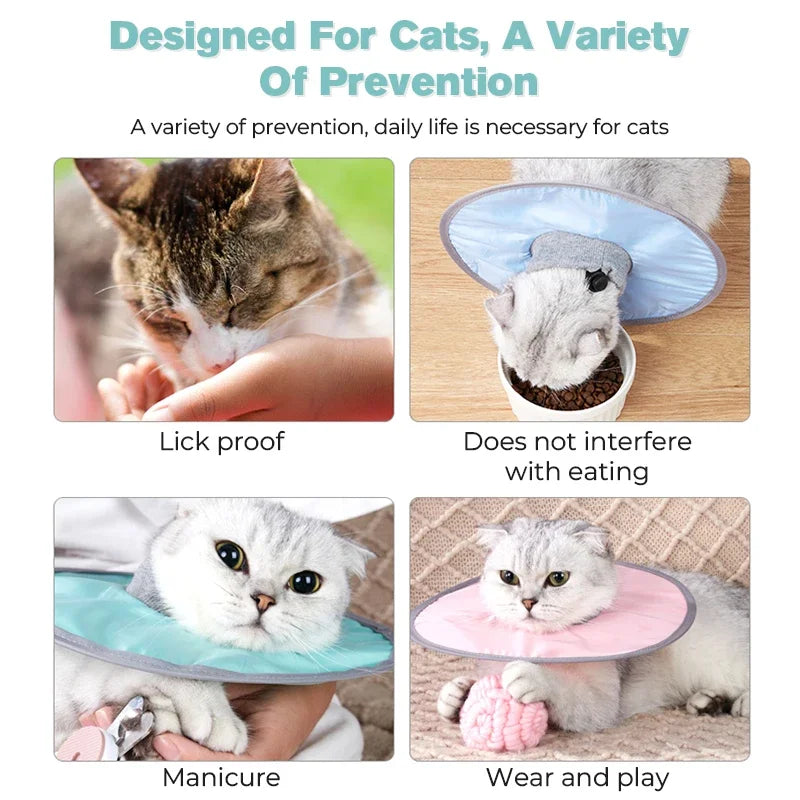 Divers outils de prévention pour chats : anti-licking, non-interférant à l'alimentation, manucure et jouets/colliers de jeu